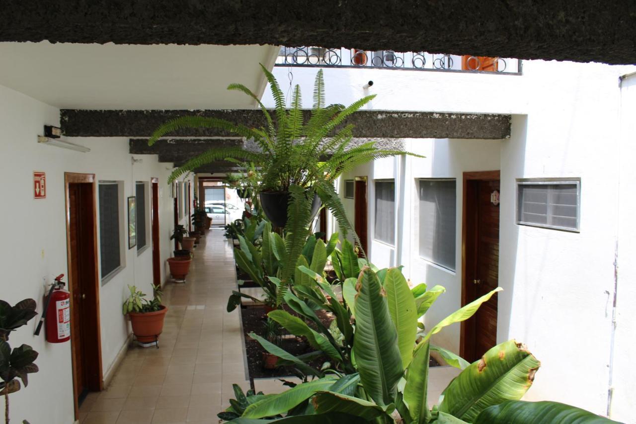 Tuxtla Gutiérrez Hotel Casablanca Tuxtla מראה חיצוני תמונה